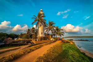 7 Days Southern Sri Lanka Tour